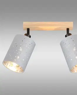Lampy do obývačky Stropné svietidlo  DAFNE AS-DAE142BR LS2