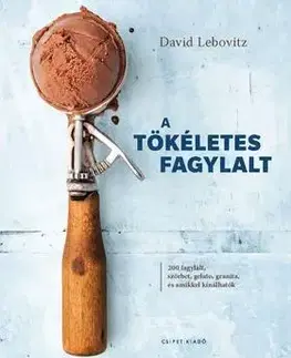 Sladká kuchyňa A tökéletes fagylalt - David Lebovitz
