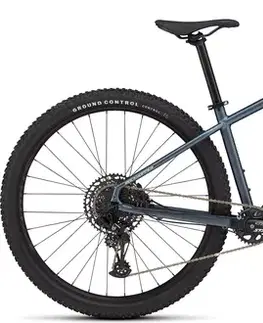 Hardtail SPECIALIZED Rockhopper Expert 29 Satin Cast Blue Metallic / Gloss Astral Blue Veľkosť: S