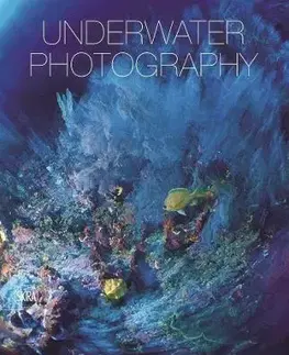 Fotografia Underwater photography - Vincenzo Paolillo