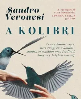 Svetová beletria A kolibri - Sandro Veronesi