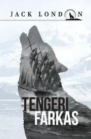 Svetová beletria Tengeri farkas - Jack London
