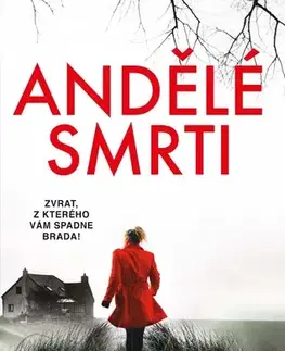Detektívky, trilery, horory Andělé smrti - Patricia Gibneyová