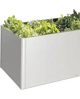 Truhlíky Biohort Zvýšený kvetináč na zeleninu BIOHORT 152 x 54,7 x 77 cm (strieborná metalíza)