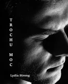 Romantická beletria Trochu moc - Lydia Strong