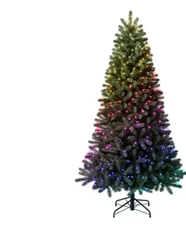 Vianočné dekorácie Twinkly TG70P4425P01 - LED RGBW vianočný stromček TREE 435×LED 2,1 m Wi-Fi TG70P4425P01