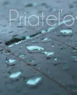 Citáty, výroky, aforizmy, príslovia, porekadlá Priateľovi - Kolektív autorov
