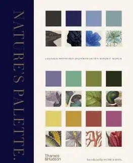 Maliarstvo, grafika Natures Palette - Patrick Baty,Peter Davidson