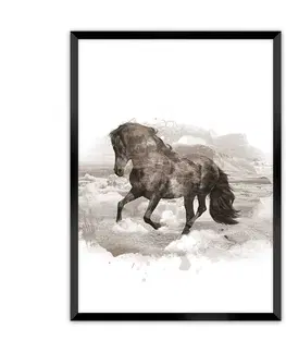 Obrazy Plagát Horse