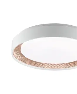 Svietidlá Brilliant - LED stmievateľné stropné svietidlo WALDO LED/24W/230V biela/ružovo-zlatá + DO G82015/85