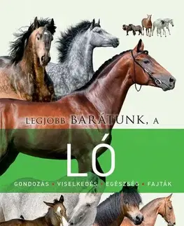 Kone Legjobb barátunk a ló - Kolektív autorov