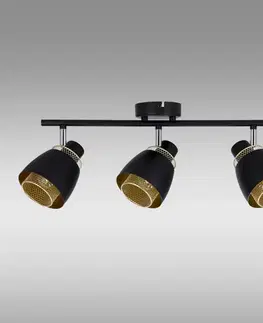 Lampy do obývačky Stropné bodové svietidlo Aleksandria 93-13767 LS3