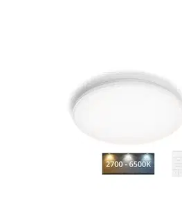 Svietidlá Philips - LED Stmievateľné stropné svietidlo WINCEL LED/24W/230V 2700-6500K + DO 8720169196117