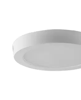 Svietidlá  LED Stropné svietidlo LED/24W/230V 4000K pr. 28,9 cm 7880