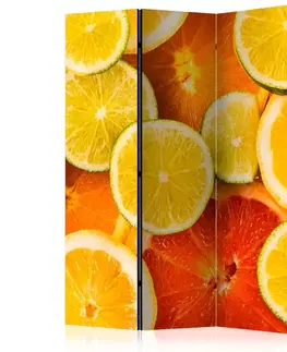 Paravány Paraván Citrus fruits Dekorhome