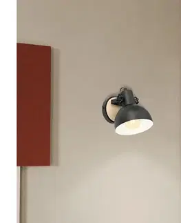 Svietidlá Eglo 43164 - Nástenné svietidlo LUBENHAM 1xE27/28W/230V 43164