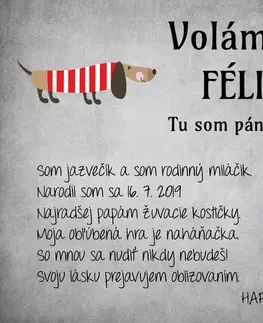 Tabuľky s venovaním (darčeky) Obraz na stenu - Menovka pre psíka nad peliešok, tabuľka s vlastným textom