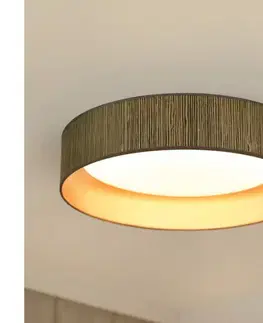 Svietidlá BRILAGI - LED stmievateľné svietidlo VEGAS SHINE LED/24W/230V hnedá/zlatá + diaľkové ovládanie 609166