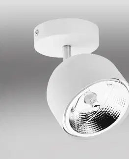 Lampy do obývačky Nástenné bodové svietidlo Altea 6512 White LS1