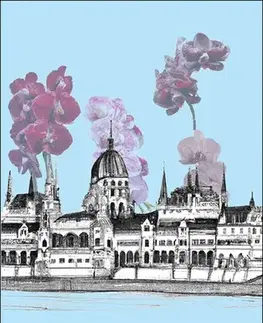Romantická beletria Nejkrásnější z orchidejí - Jana Jurečková