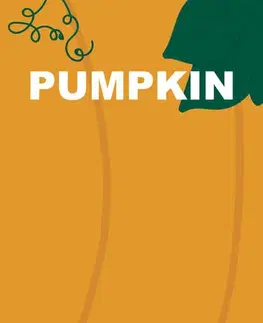 Slovenská beletria Pumpkin - Martina Depešová
