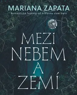 Romantická beletria Mezi nebem a zemí - Mariana Zapata,Romana Bičíková