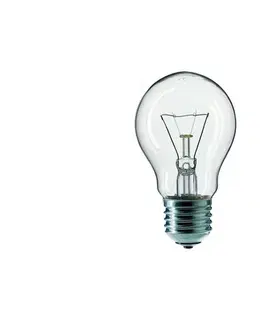 Žiarovky  Priemyselná žiarovka E27/60W/230V 2200K 337003010