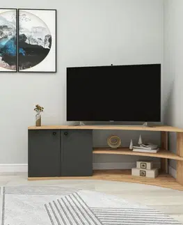 Konferenčné stolíky Televízny stolík Temera Atlantic Pine and Anthracite