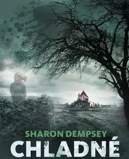 Detektívky, trilery, horory Chladné stopy - Sharon Dempsey,Jitka Šišáková