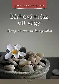 Joga, meditácia Bárhová mész, ott vagy - Jon Kabat-Zinn