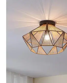 Svietidlá Eglo 43775 - Stropné svietidlo ADWICKLE 1xE27/40W/230V 43775