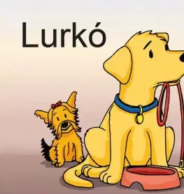 Partnerstvo Lurkó - neuvedený,András Frankó