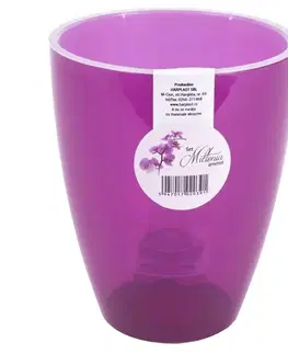 Záhrada Sada MILTONIA 133 ametyst