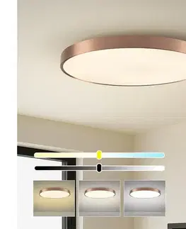 Svietidlá  NEO 07323L-LED stmievateľné stropné svietidlo SEMPLICI 96W/230V priemer 80 cm Wi-Fi Tuya rosé + diaľkové ovládanie 07323L
