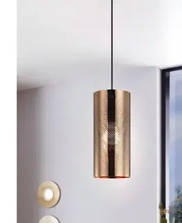 Svietidlá Eglo 99016 - Závesné svietidlo na lankách TABIAGO 1xE27/40W/230V 99016