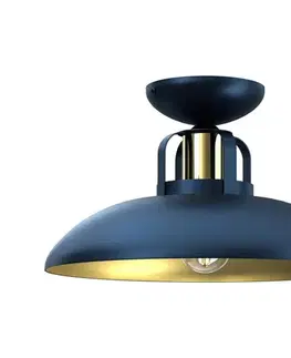 Svietidlá  Prisadený luster FELIX 1xE27/60W/230V modrá MLP7713