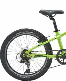 Detské bicykle Genesis MX20 MTB Kids Veľkosť: 20