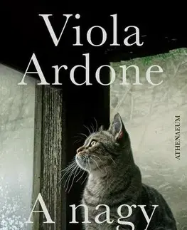 Svetová beletria A nagy csoda - Viola Ardone