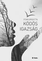 Svetová beletria Ködös igazság - Pokk Brigitta