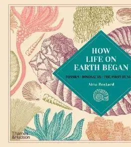 Príroda How Life on Earth Began - Aina Bestard