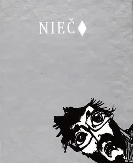 Slovenská beletria Niečo - Maroš Andrejčík