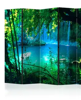 Paravány Paraván Kursunlu Waterfalls Dekorhome