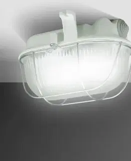 Moderné stropnice Stropné svietidlo  90120 oválne IP54 kov