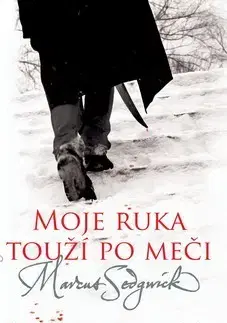 Sci-fi a fantasy Moje ruka touží po měči - Marcus Sedgwick