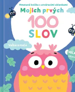 Leporelá, krabičky, puzzle knihy Mojich prvých 100 slov: Veľké a malé