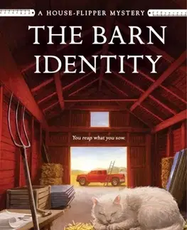 Detektívky, trilery, horory The Barn Identity - Diane Kelly