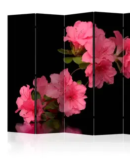 Paravány Paraván Azalea in Black Dekorhome
