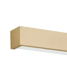 Svietidlá Argon 7168 - Nástenné svietidlo CASERTA 2xE27/15W/230V 42 cm 7168