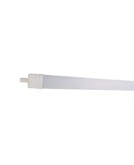 Svietidlá  LED Žiarivkové svietidlo DAISY LED/80W/230V 4000K IP65 