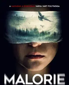 Detektívky, trilery, horory Malorie - Madarak a dobozban 2. - Josh Malerman,Csaba Rusznyák